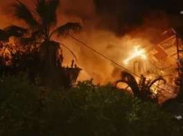 Studio City’s Sunswept Fire