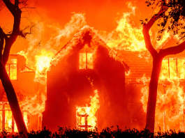 hollywood-hills-fire