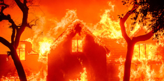 Hollywood Hills Fire: New Blaze Erupts as Los Angeles Wildfires Claim Lives and Threaten Landmarks hollywood-hills-fire