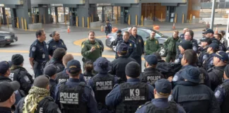 Introduction to U.S. Customs and Border Protection (CBP) united states customs and border protection